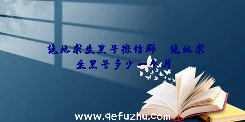 「绝地求生黑号微信群」|绝地求生黑号多少一个月